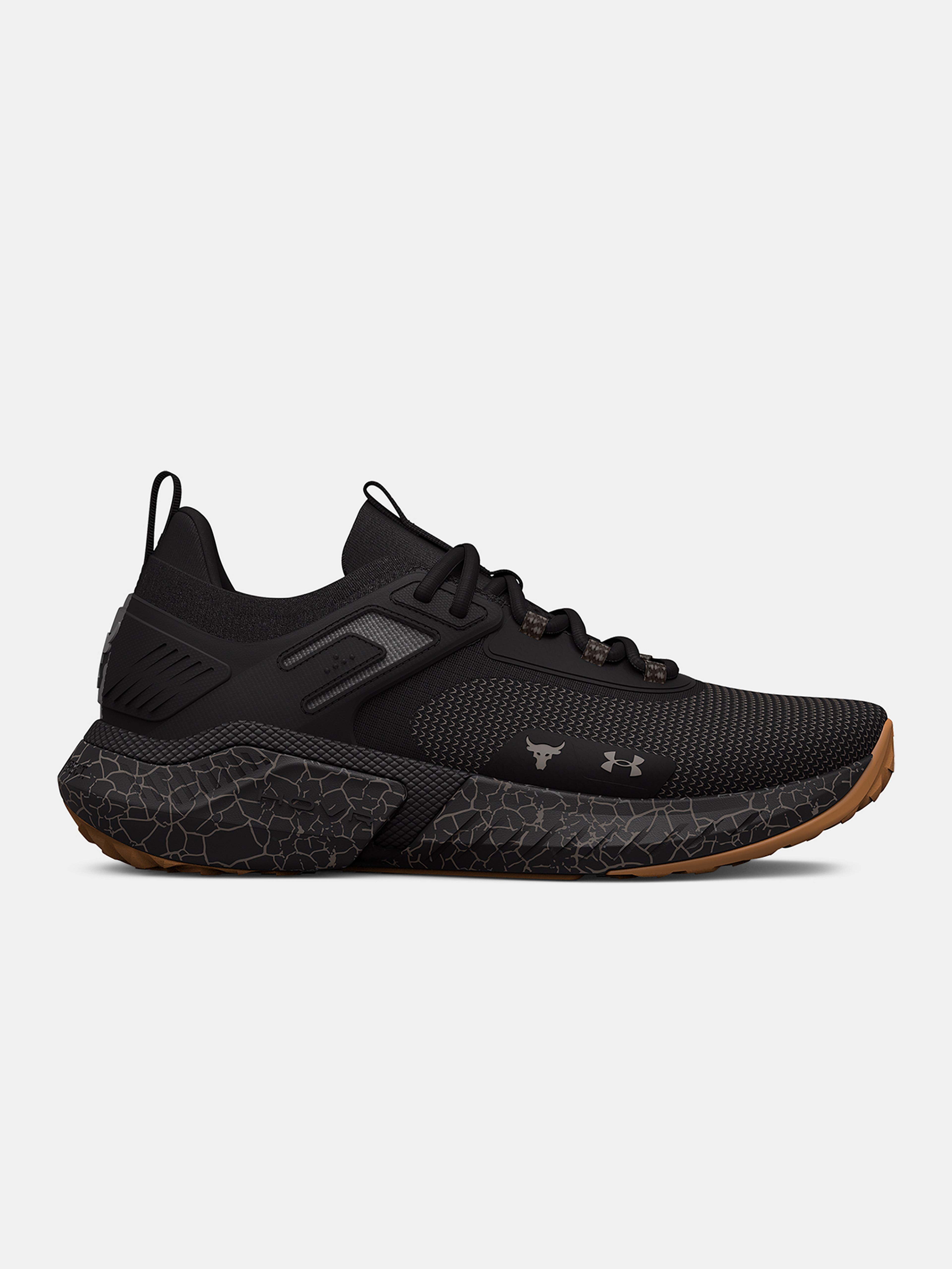 Boty Under Armour UA Project Rock 5 Home Gym-BLK