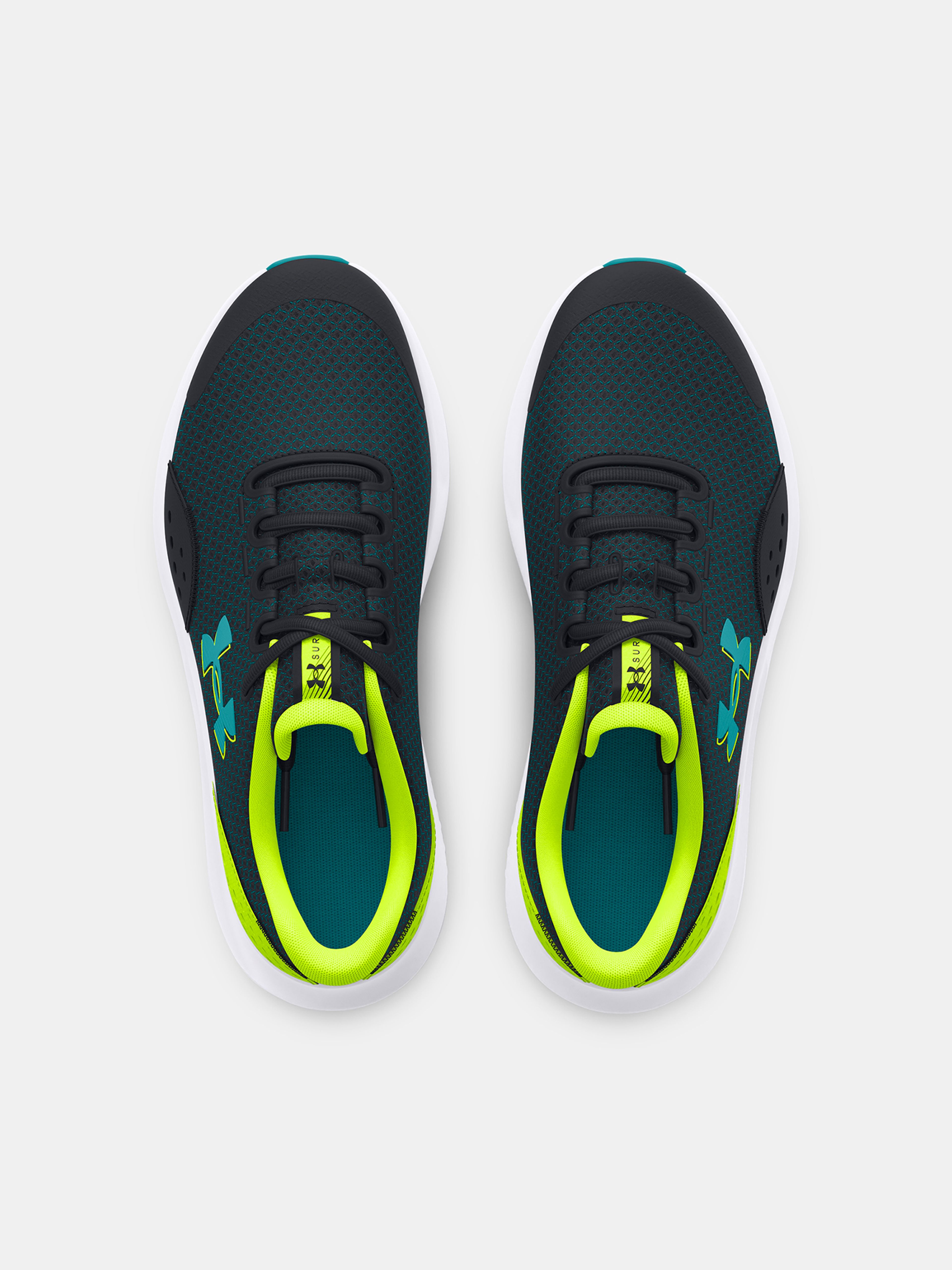 ua bgs surge rn