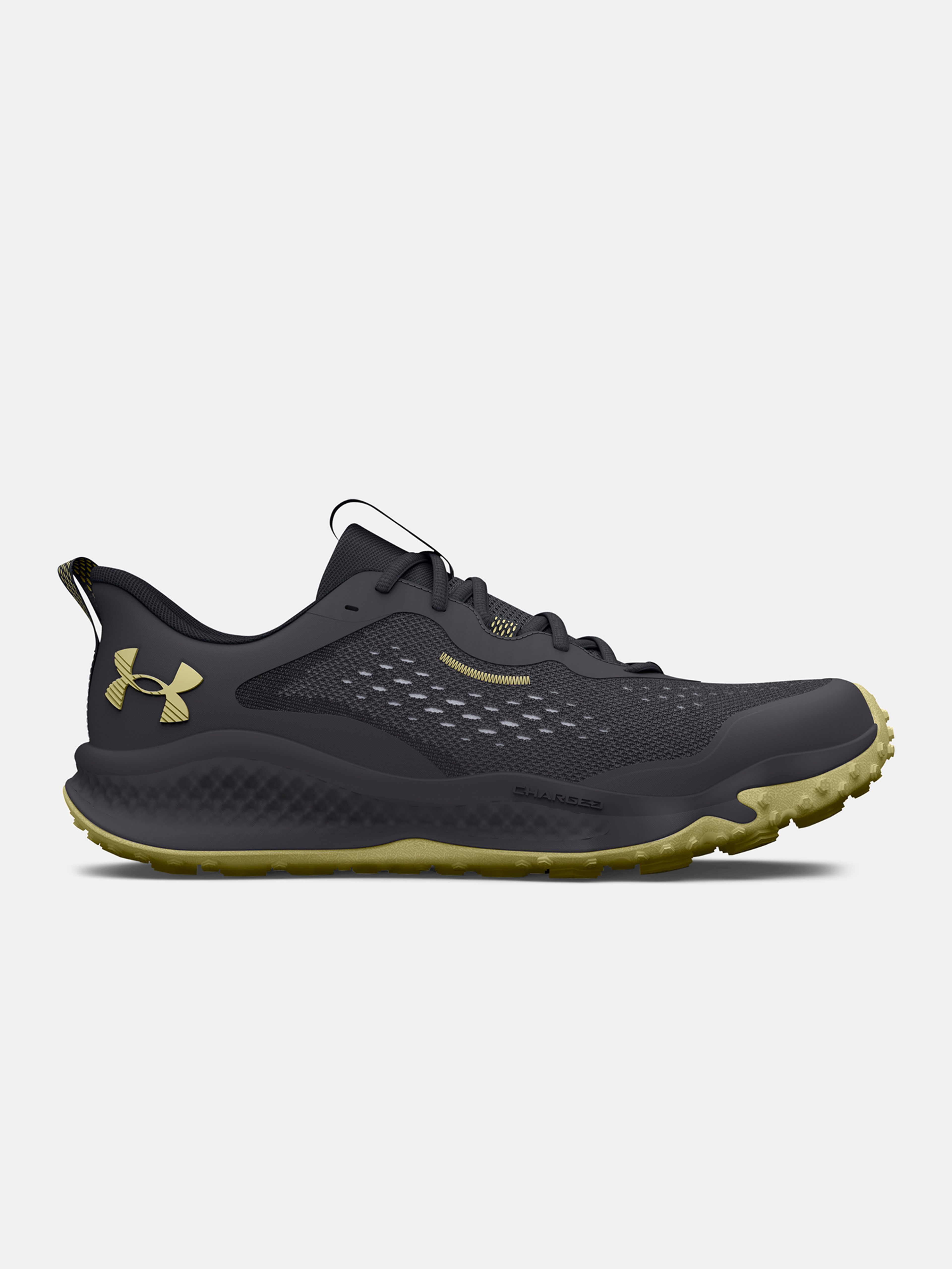 Topánky Under Armour UA Charged Maven Trail-GRY