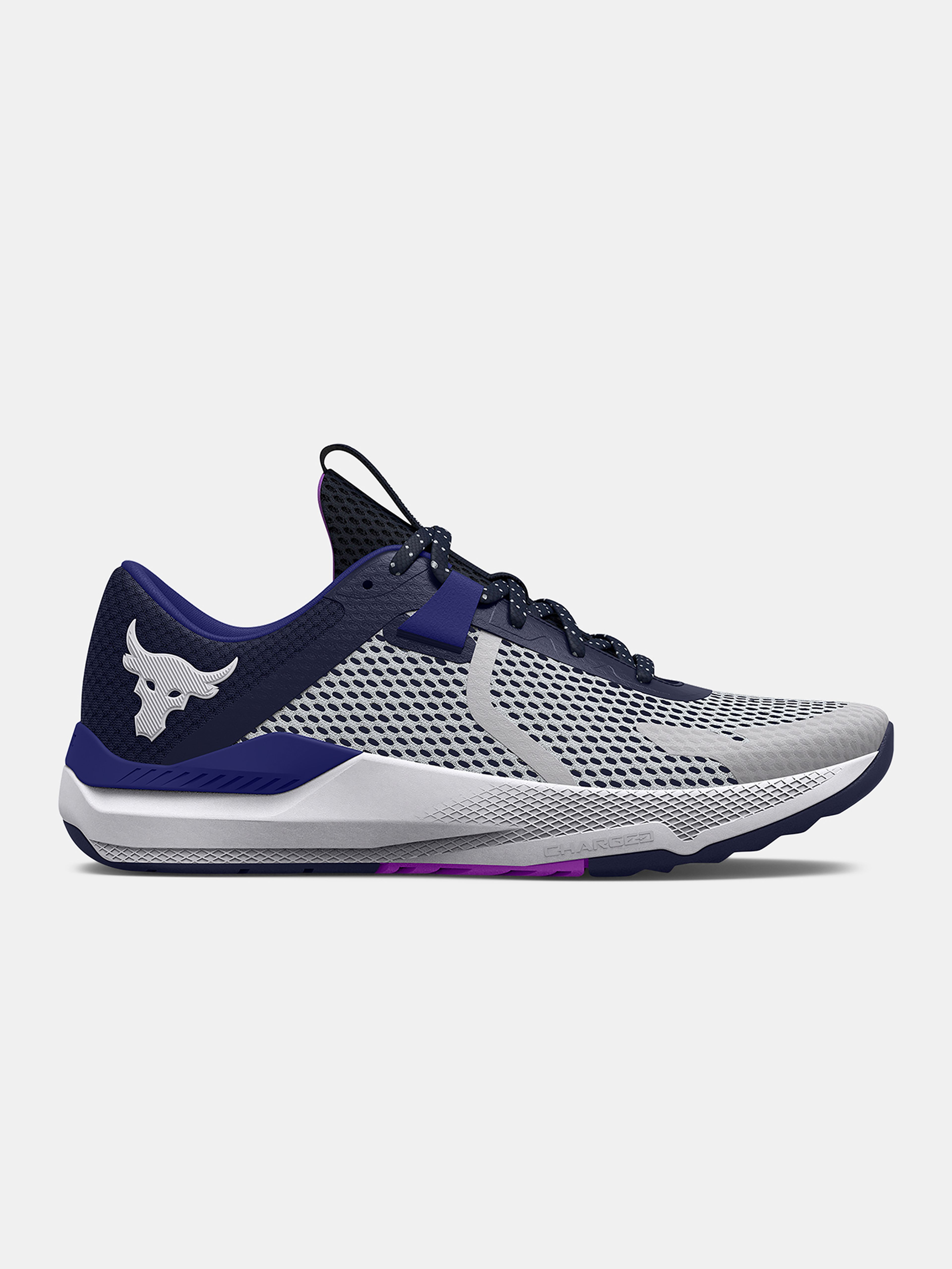Topánky Under Armour UA Project Rock BSR 2-GRY